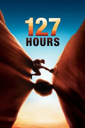 127 Hours (2010) Hindi Dual Audio BluRay 330MB