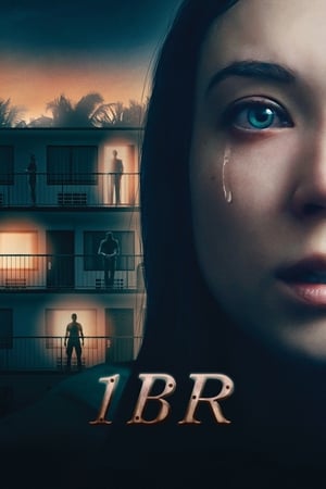 1BR (2019) Hindi Dual Audio BluRay [970MB]