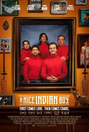 A Nice Indian Boy 2025 Hindi Dual Audio WEB-DL