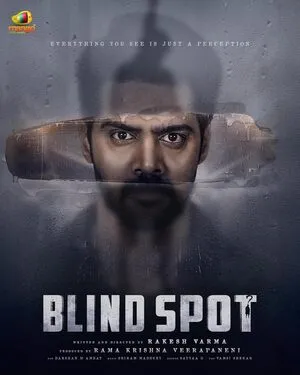 Blind Spot 2025 Hindi Dual Audio WEB-DL