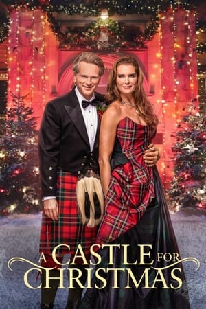 A Castle for Christmas (2021) Hindi Dual Audio HDRip 350MB