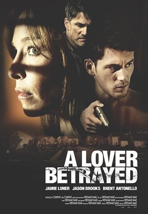 A Lover Betrayed 2017 Hindi Dual Audio Web-DL 280MB
