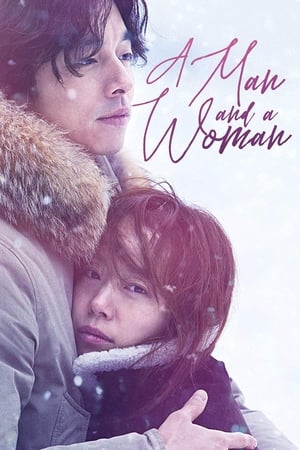 A Man and A Woman (2016) Hindi Dual Audio BluRay 400MB