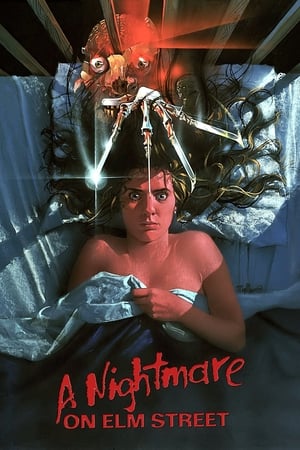 A Nightmare on Elm Street (2010) Hindi Dual Audio BluRay [850MB]
