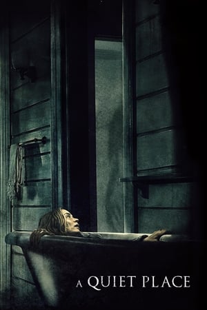 A Quiet Place 2018 Hindi Dual Audio BluRay 300MB