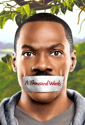 A Thousand Words (2012) Hindi Dual Audio BluRay [800MB]