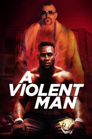 A Violent Man 2017 Hindi Dual Audio WebRip [960MB]