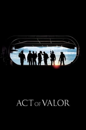 Act of Valor (2012) Hindi Dual Audio BluRay [1.1GB]