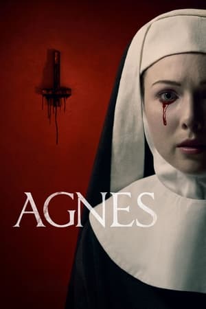 Agnes (2021) Hindi Dual Audio HDRip – 480p
