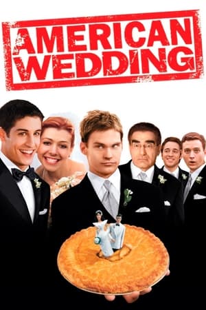 American Wedding (2003) Hindi Dual Audio BluRay 300MB