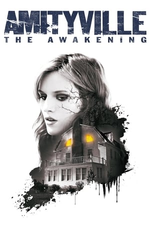 Amityville: The Awakening (2017) Hindi Dual Audio BluRay 300MB