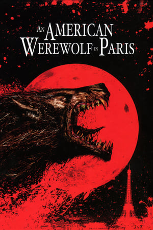 An American Werewolf in Paris 1997 Hindi Dual Audio BluRay 300MB