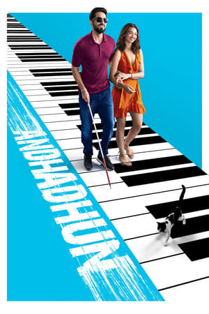 Andhadhun (2018) Hindi Movie BluRay x264 [1.1GB]