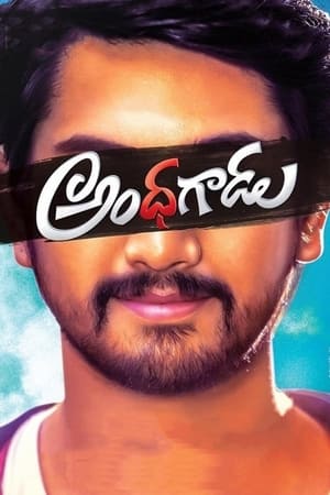 Andhhagadu 2017 Hindi Dual Audio Uncut HDRip 400MB