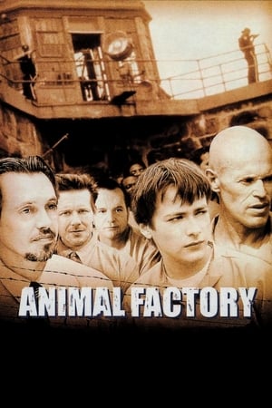 Animal Factory (2000) Hindi Dual Audio BluRay [950MB]