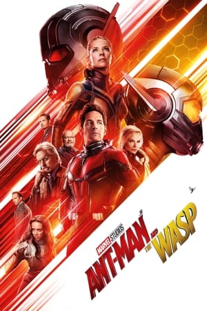 Ant-Man and the Wasp 2018 Movie (English) HDCAM [300MB]