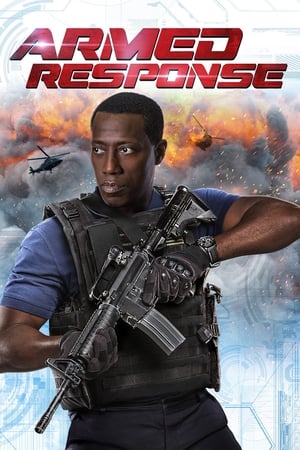 Armed Response (2017) Hindi Dual Audio UnCut BluRay [930MB]