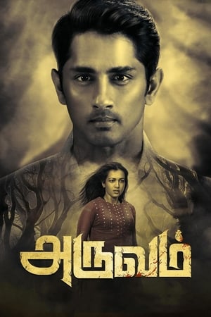 Aruvam (2019) (Hindi -Tamil) Dual Audio UnCut HDRip [1.4GB]