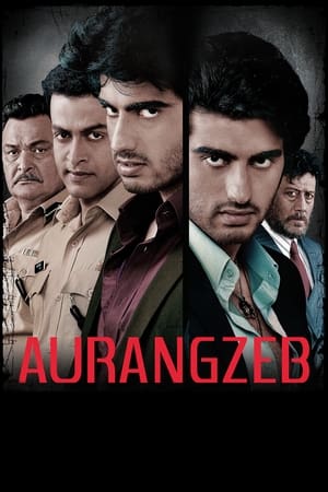 Aurangzeb (2013) Hindi Movie HDRip – [370MB]