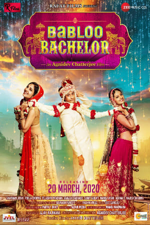 Babloo Bachelor (2021) Hindi Movie HDRip – 480p