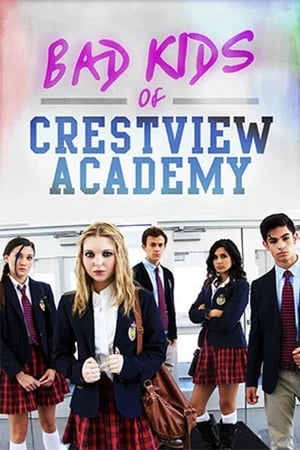 Bad Kids of Crestview Academy (2017) Hindi Dual Audio Web-DL 330MB