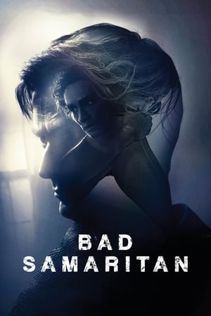 Bad Samaritan (2018) Hindi Dual Audio BluRay [1GB]