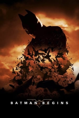Batman Begins (2005) Hindi Dual Audio Bluray [980MB] Download