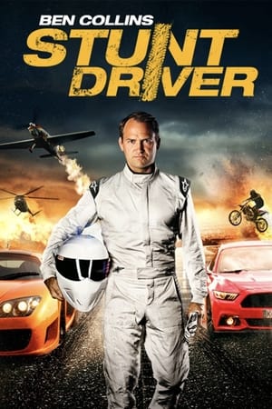 Ben Collins Stunt Driver (2015) Hindi Dual Audio BluRay [1GB]