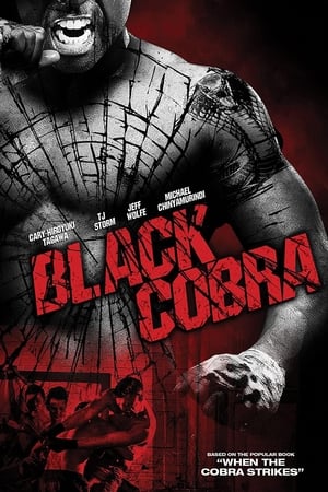 Black Cobra (2012) Hindi Dual Audio BluRay 300MB