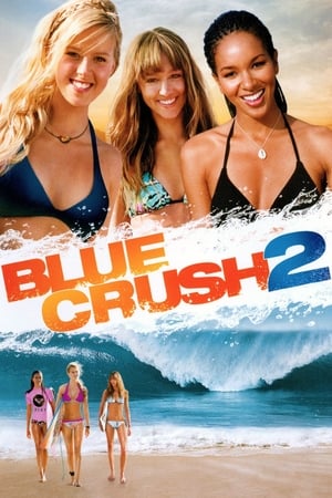 Blue Crush 2 (2011) Hindi Dual Audio BluRay [1.1GB]