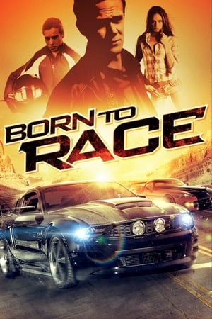 Born to Race 2011 Hindi Dual Audio BluRay [610MB]