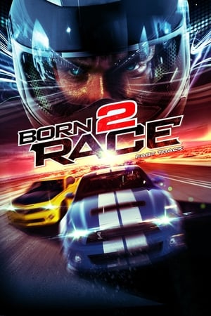 Born to Race Fast Track 2014 Hindi Dual Audio BluRay [840MB]