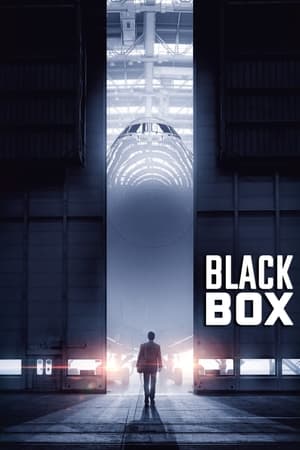 Boxed 2021 Hindi Movie HDRip x264 [890MB]