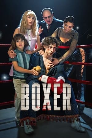 Boxer (2024) Hindi Dual Audio HDRip – 720p – 480p