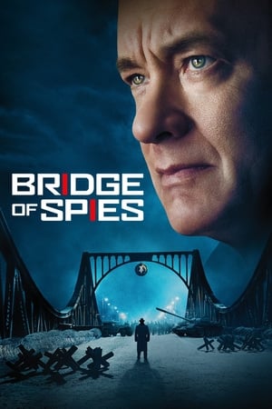 Bridge of Spies (2015) Hindi Dual Audio BluRay 450MB