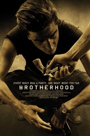 Brotherhood (2010) Hindi Dual Audio HDRip – 480p