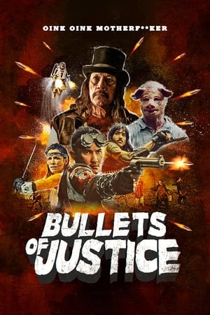 Bullets of Justice (2019) Hindi Dual Audio Web-DL [850MB]