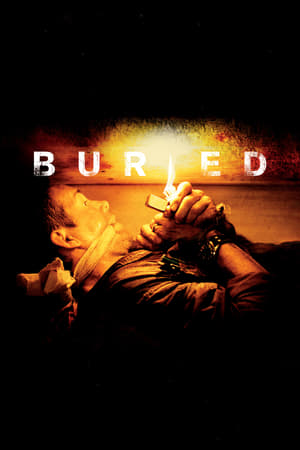 Buried (2010) Hindi Dual Audio BluRay 350MB