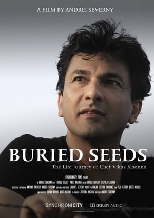 Buried Seeds 2019 Hindi Dual Audio Web-DL 250MB