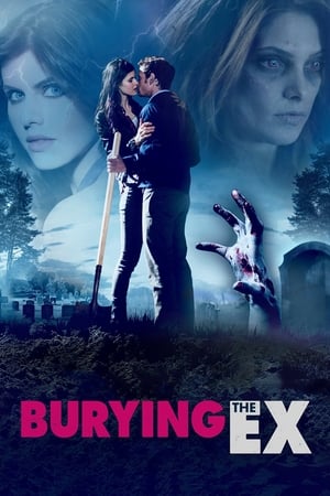 Burying the Ex (2014) Hindi Dual Audio HDRip 300MB