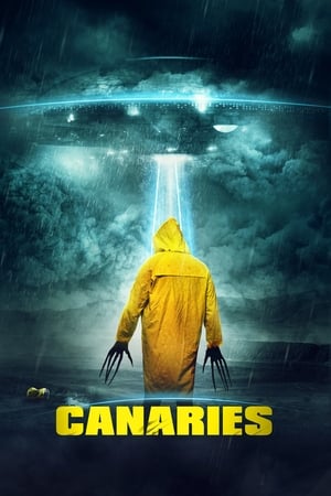 Canaries (2017) Hindi Dual Audio WebRip [840MB]