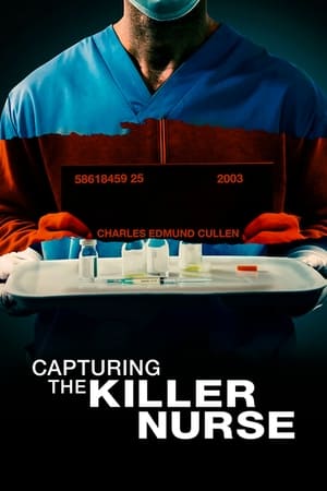 Capturing the Killer Nurse (2022) Hindi Dual Audio HDRip – 480p