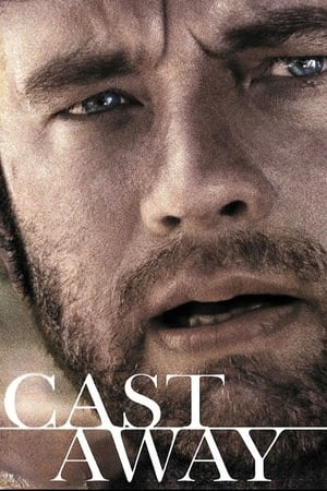 Cast Away 2000 Hindi Dual Audio BluRay 450MB