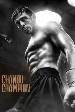 Chandu Champion 2024 Hindi CAMRip
