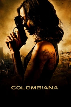 Colombiana (2011) Hindi Dual Audio BluRay 350MB