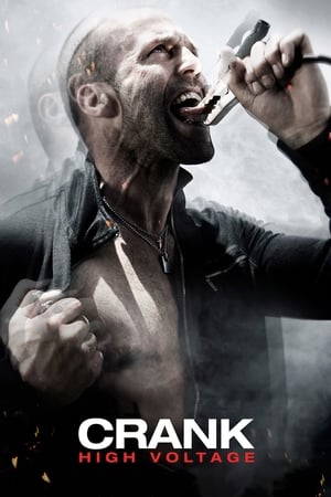 Crank: High Voltage (2009) Hindi Dual Audio BluRay 300MB