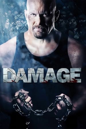 Damage 2009 Hindi Dual Audio BluRay [970MB]