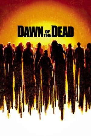 Dawn of the Dead (2004) Hindi Dual Audio Movie BluRay - 1GB