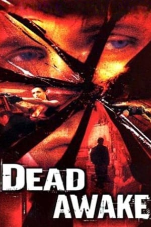 Dead Awake 2001 Hindi Dual Audio WebRip [1GB]