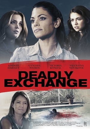 Deadly Exchange 2017 Hindi Dual Audio BluRay [900MB]